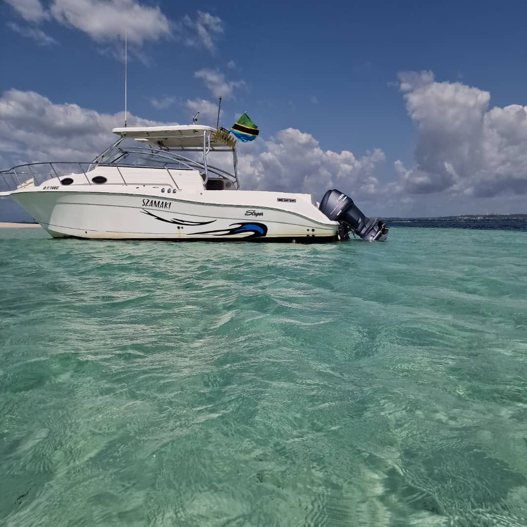 Speed Boats Wave Rider By Rock The Yatch image