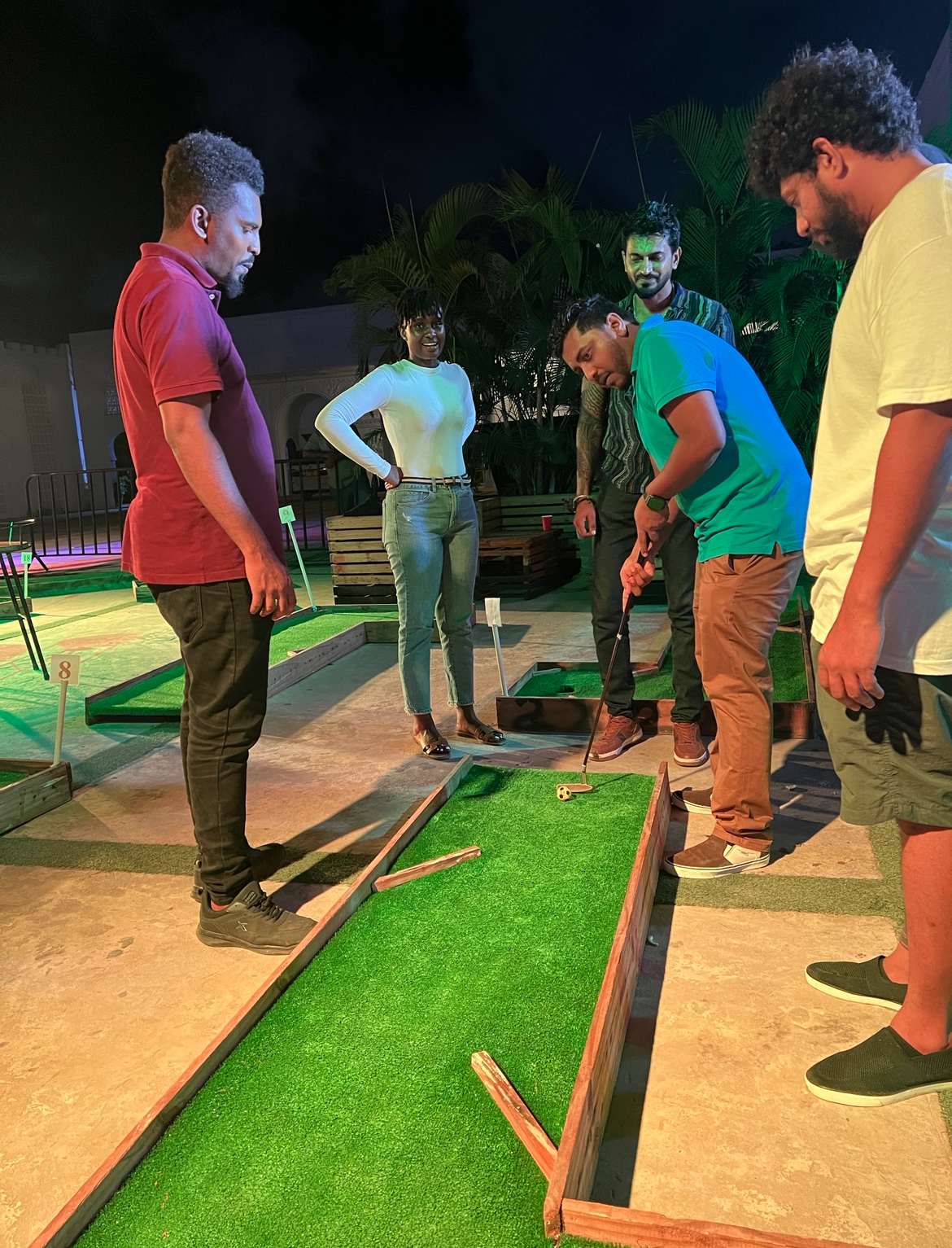 Swahili MiniGolf Experience image